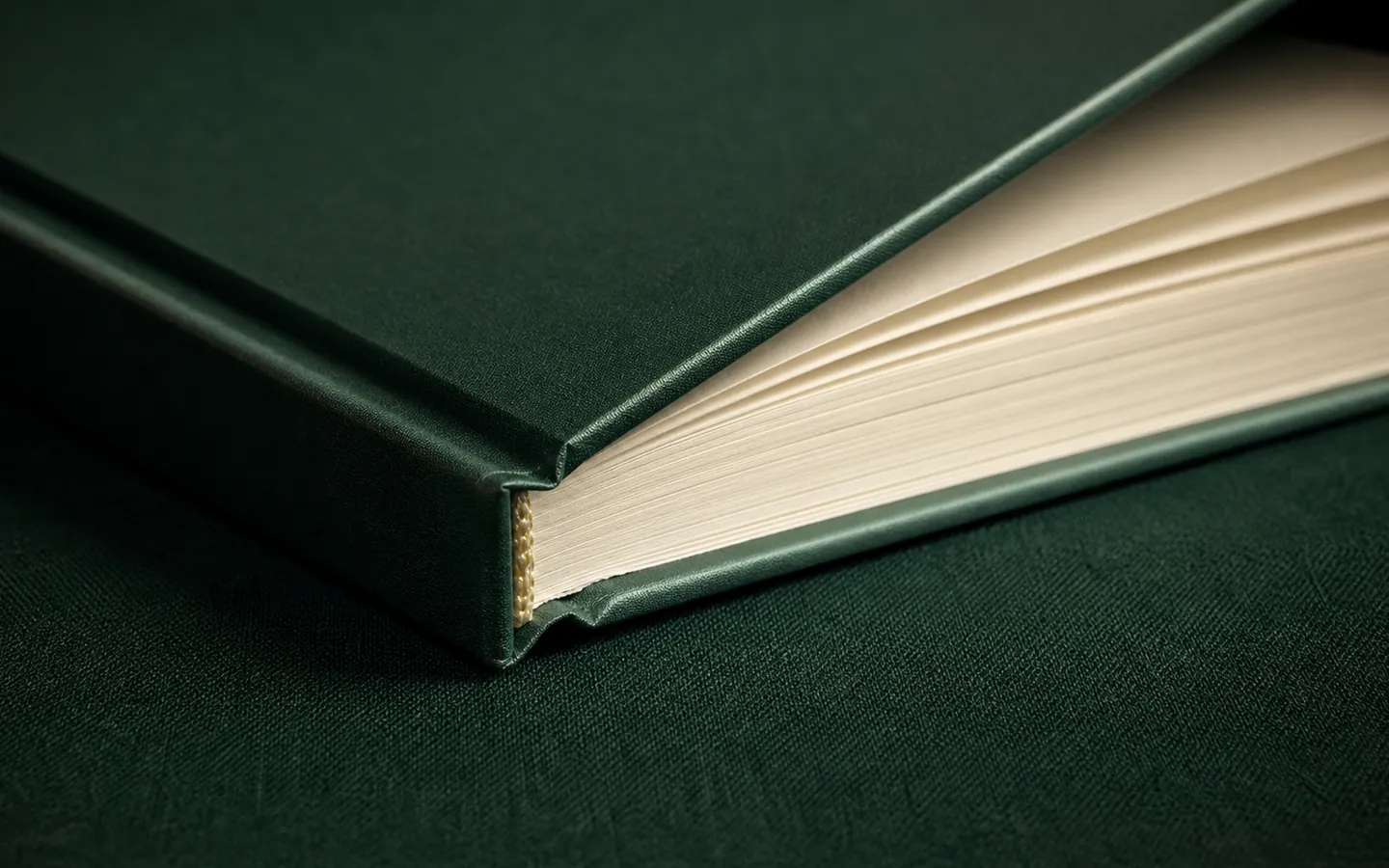 Close detail of a square hardcover memoir binding, hinge and cream page block